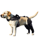 Load image into Gallery viewer, Neoprene-Tech Canine Knee Brace – Post-Surgery Stabilization &amp; Pain Relief Support&quot;
