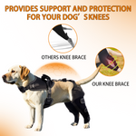 Load image into Gallery viewer, Neoprene-Tech Canine Knee Brace – Post-Surgery Stabilization &amp; Pain Relief Support&quot;
