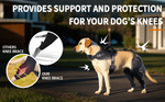 Load image into Gallery viewer, Neoprene-Tech Canine Knee Brace – Post-Surgery Stabilization &amp; Pain Relief Support&quot;
