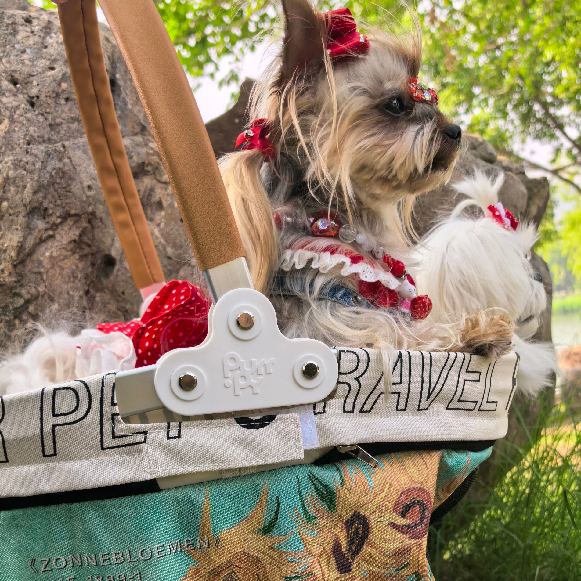 dog travel 