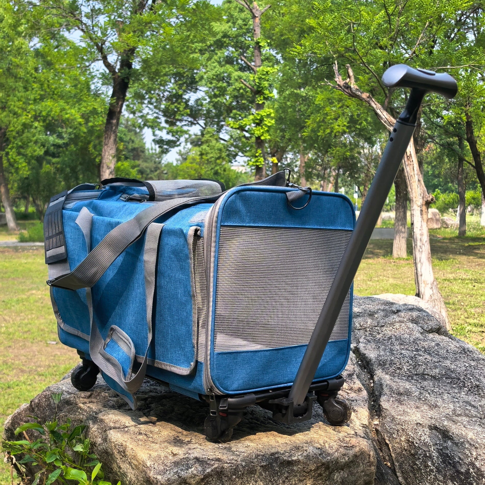 dog carrier